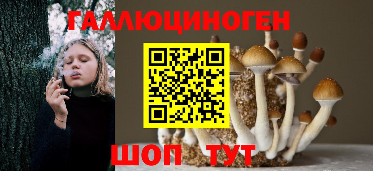 Приморско-Ахтарск  Псилоцибиновые грибы ЛСД  Галлюциногенные грибы Magic Shrooms  Вход с VPN 